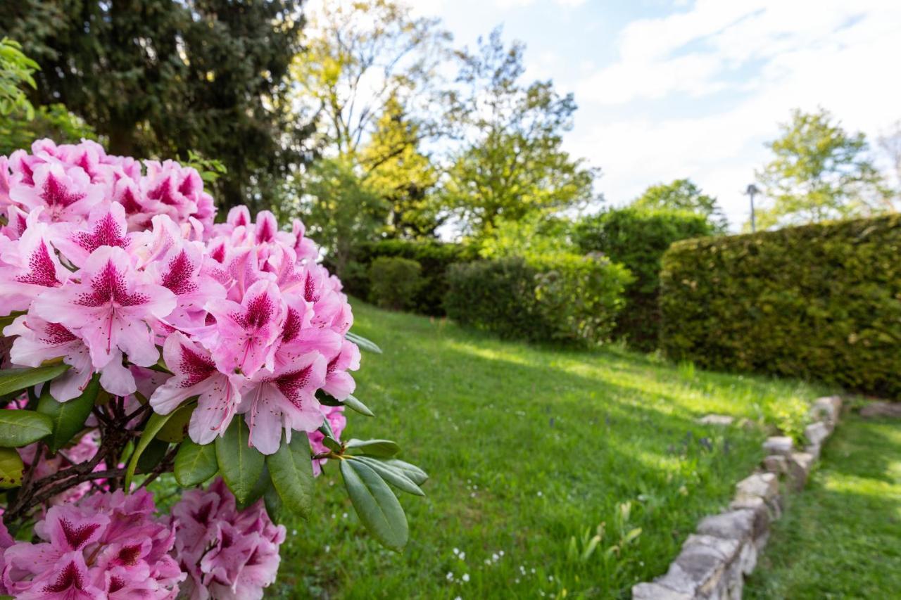 Landhotel Gottinger Waldkirchen Luaran gambar